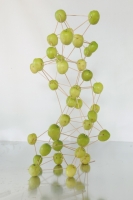 14_fruitconstellation1.jpg