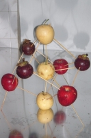 14_fruitconstellation4.jpg