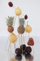 14_fruitconstellation6.jpg