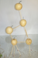 14_fruitconstellation8.jpg