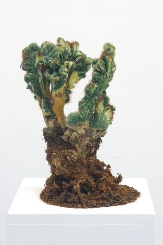 plantb_web2.jpg