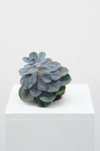 Simon Kentgens - Plant B