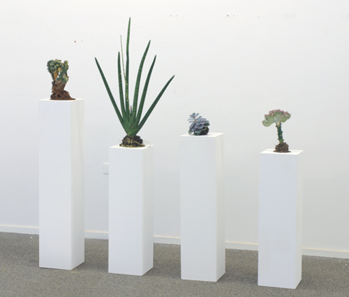 Simon Kentgens - Plant B