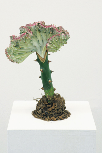 Simon Kentgens - Plant B